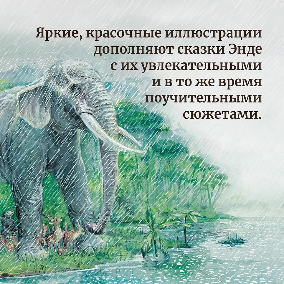 Изображение товара 5