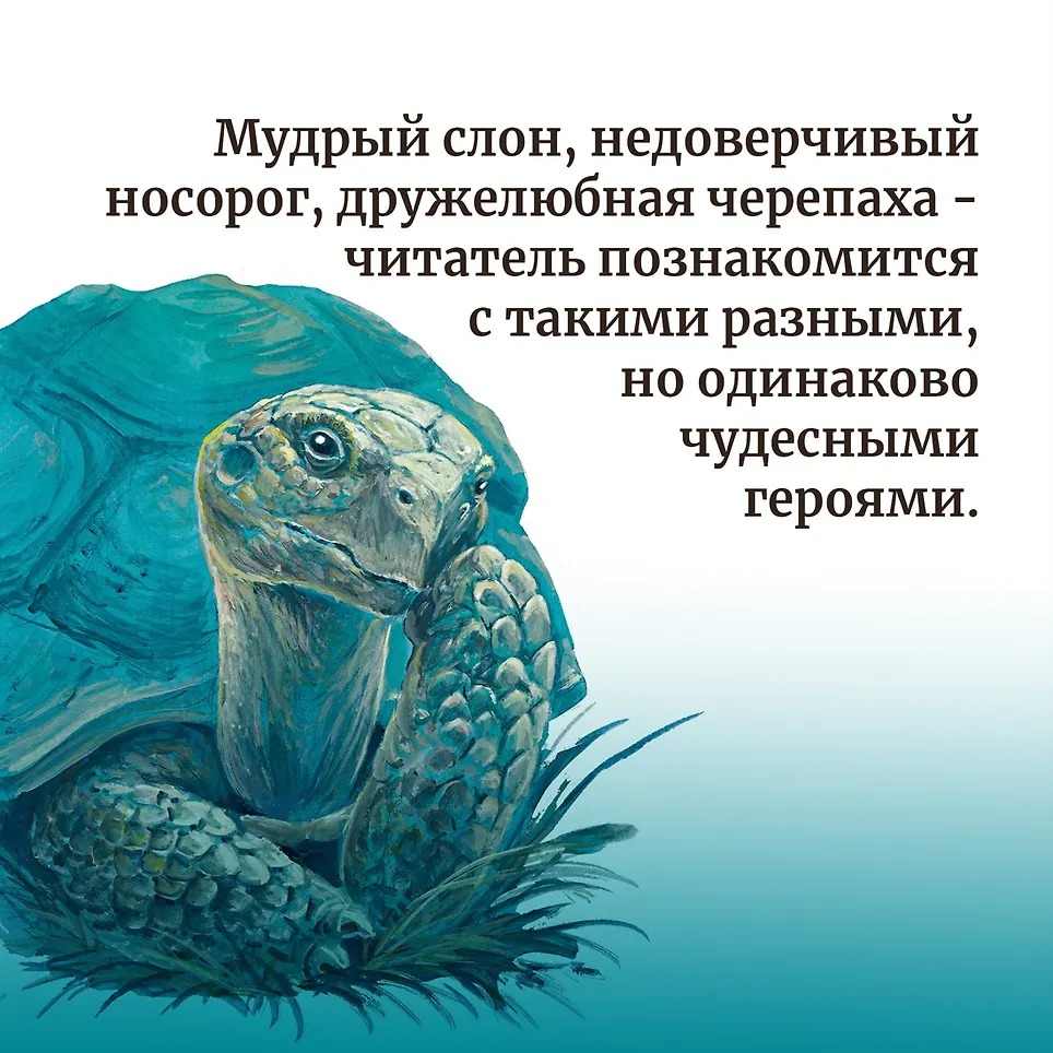 Изображение товара 4