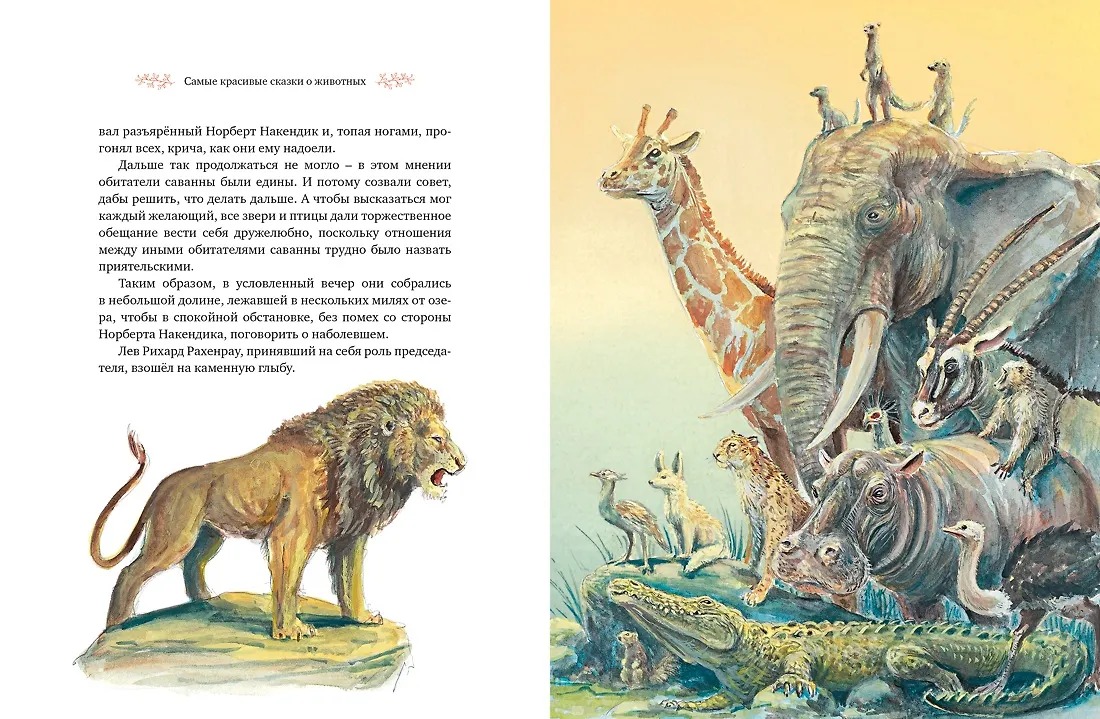 Изображение товара 8