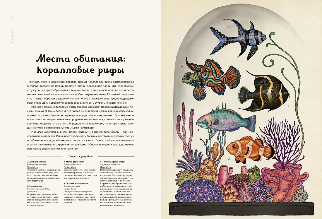 Изображение товара 6