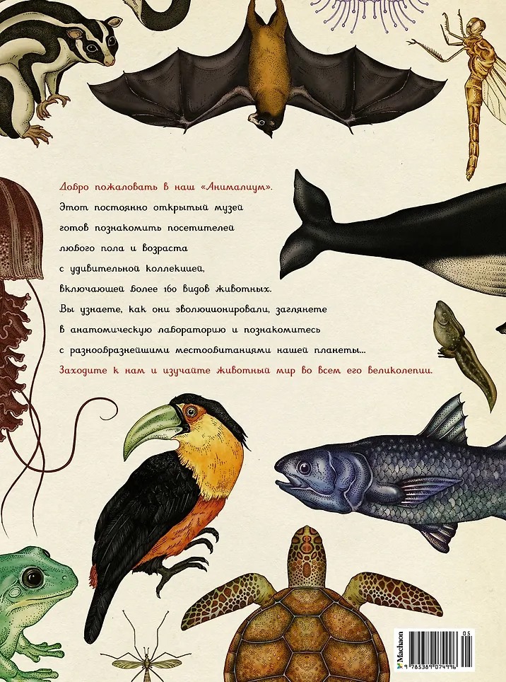 Изображение товара 8