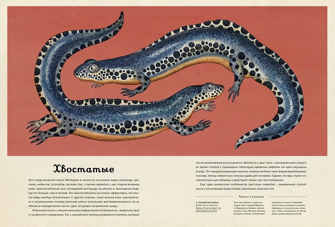 Изображение товара 7