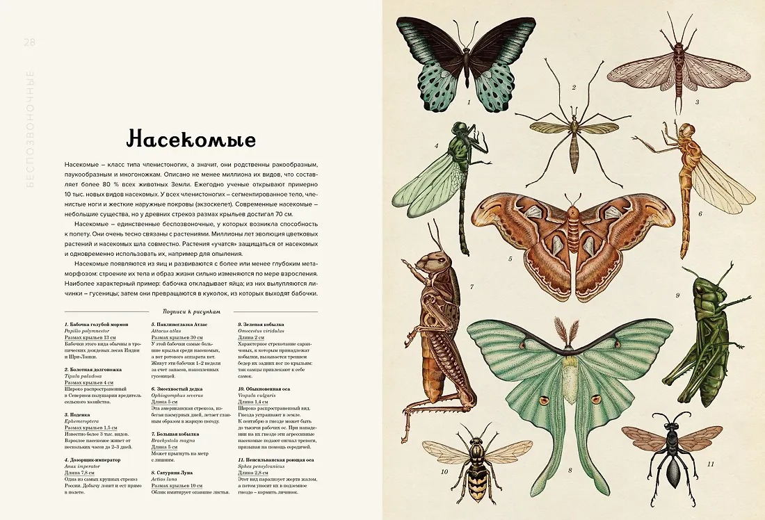 Изображение товара 3