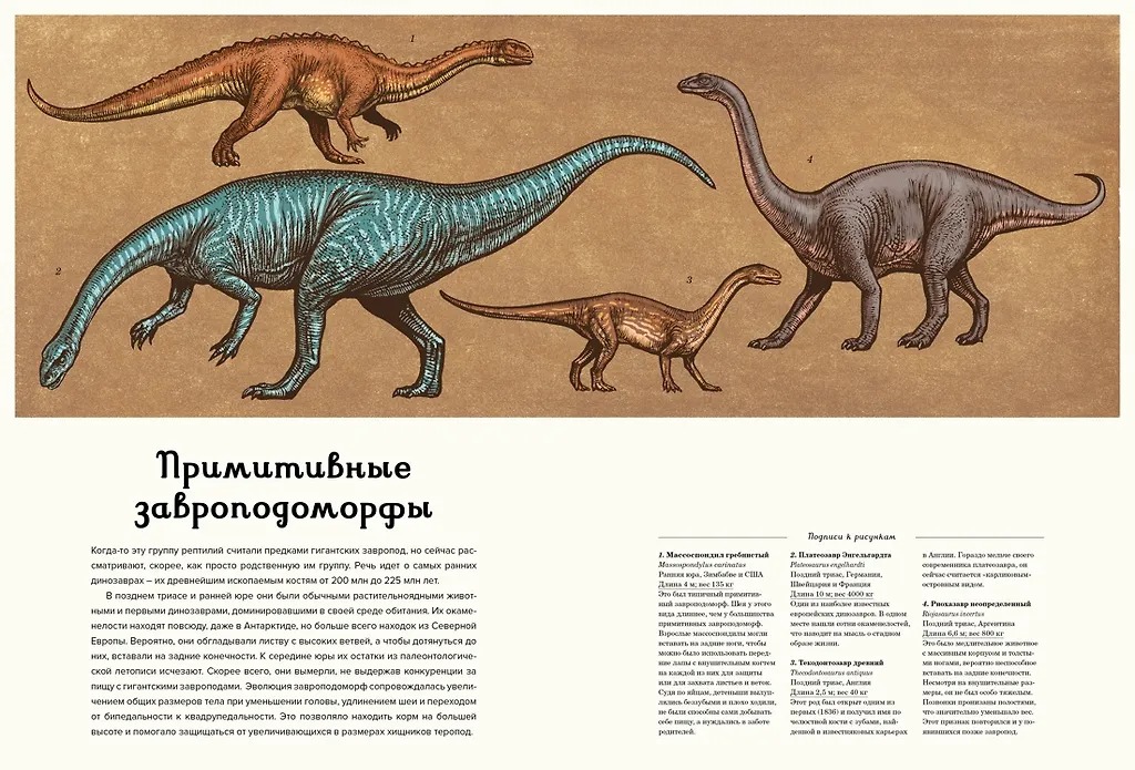 Изображение товара 4