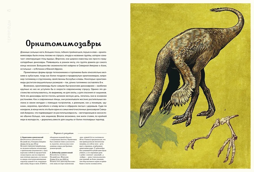 Изображение товара 8