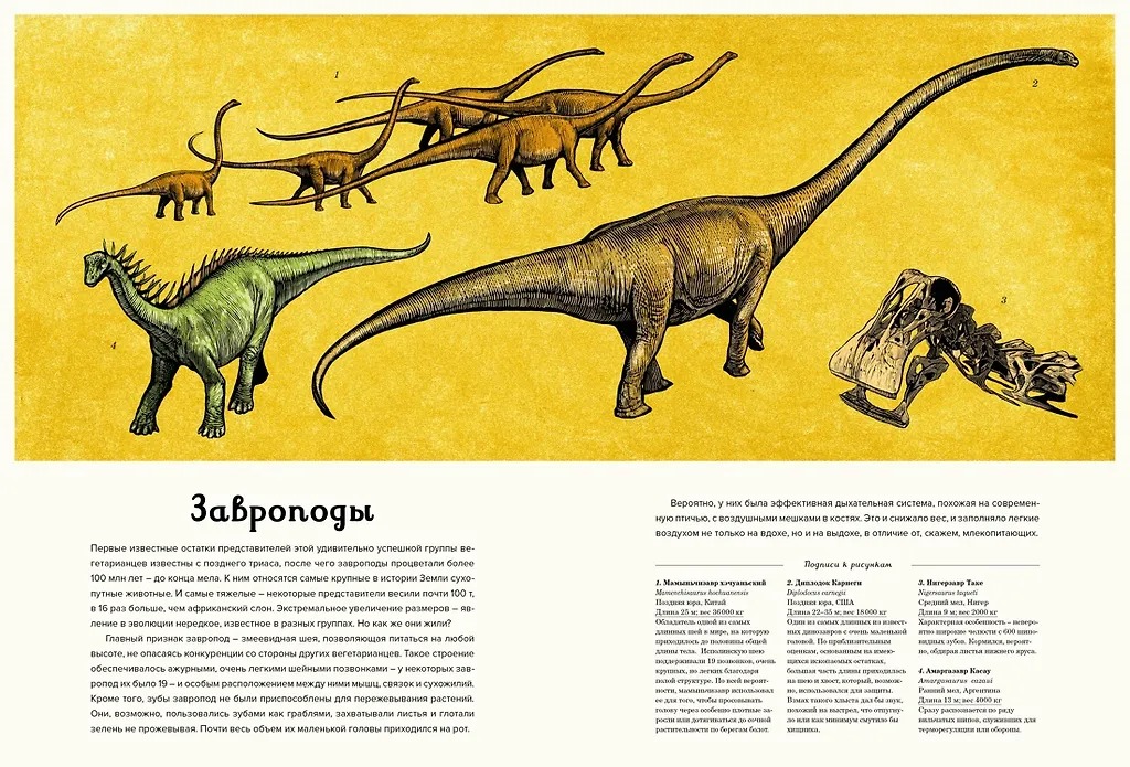 Изображение товара 6