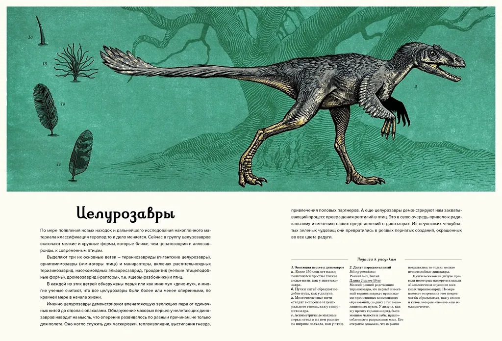 Изображение товара 7