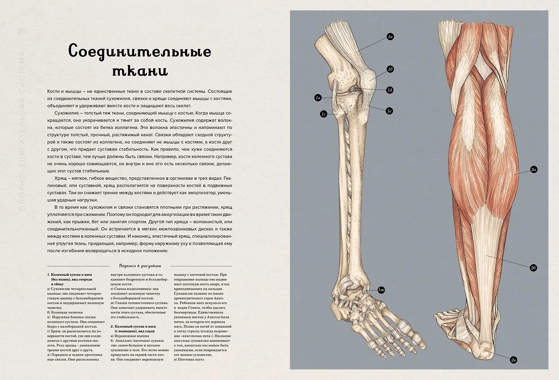 Изображение товара 3