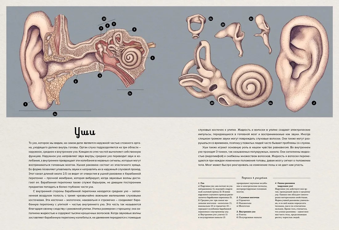 Изображение товара 7