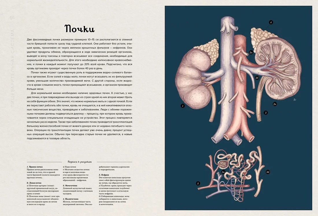 Изображение товара 6