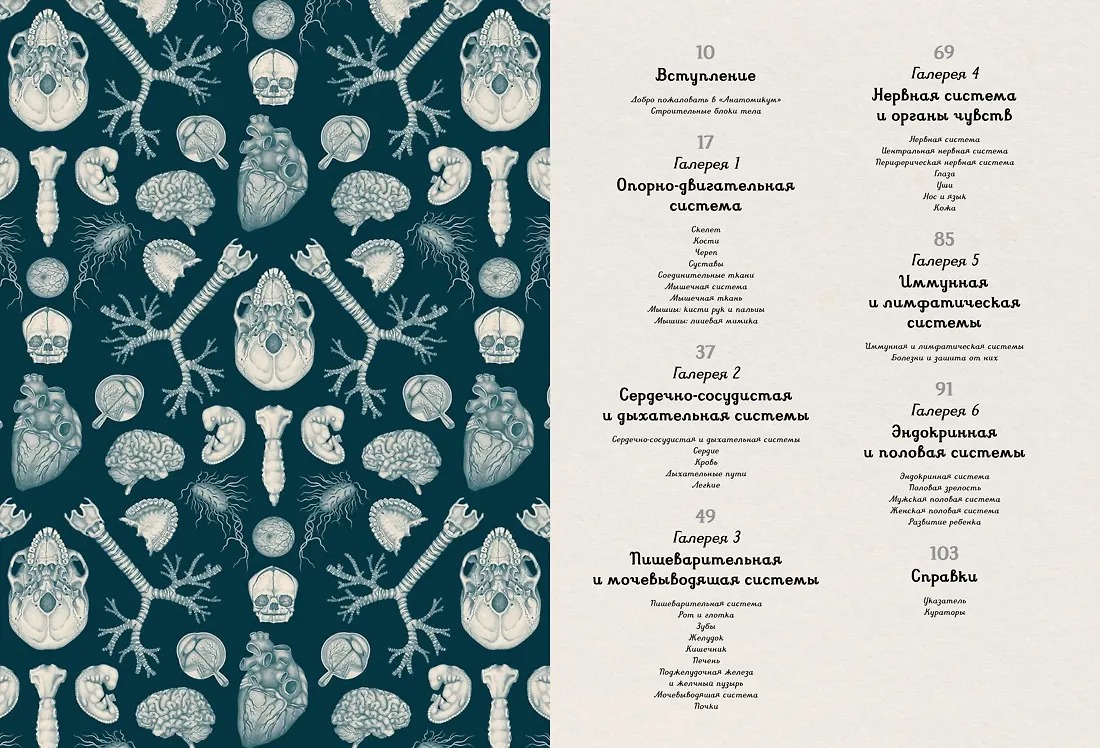 Изображение товара 2