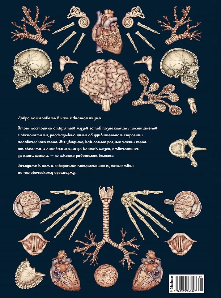Изображение товара 9