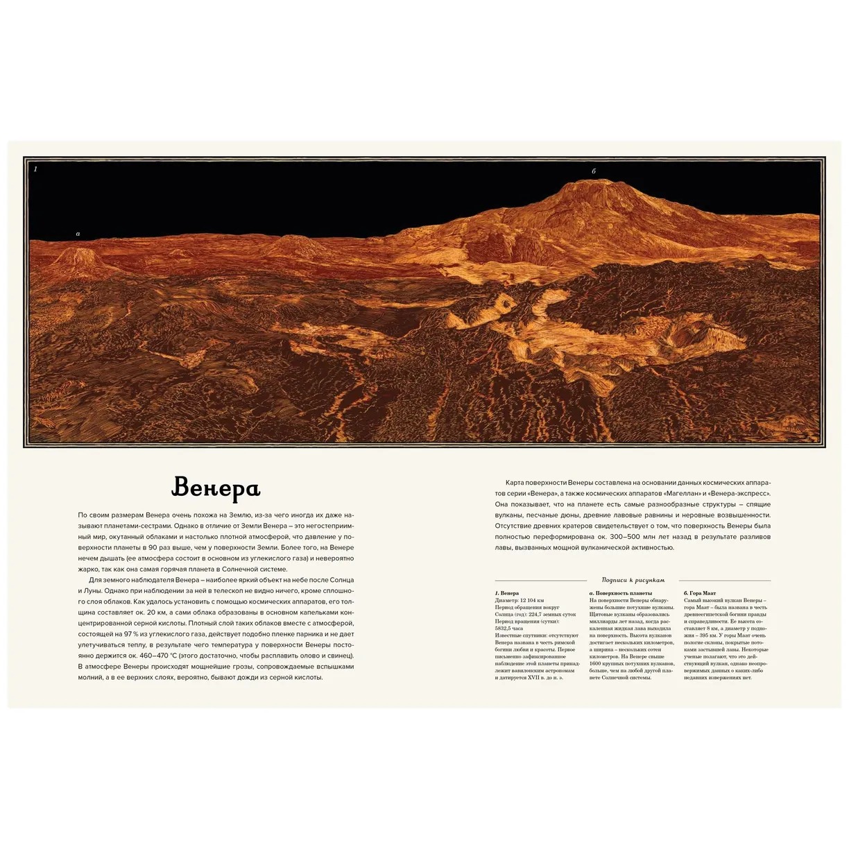 Изображение товара 7