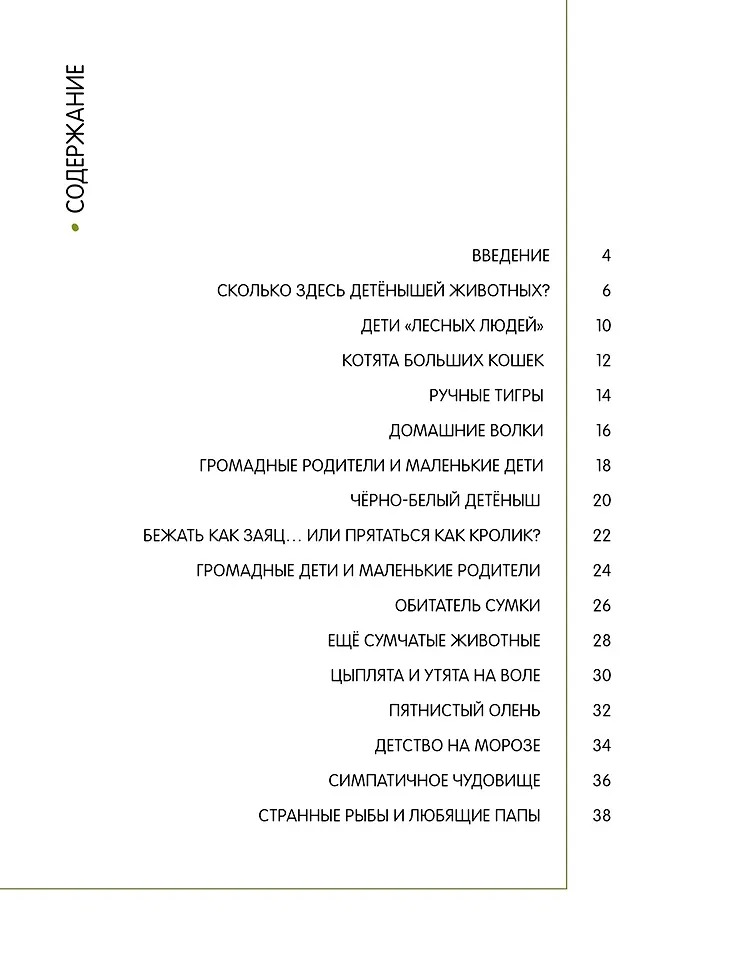 Изображение товара 2