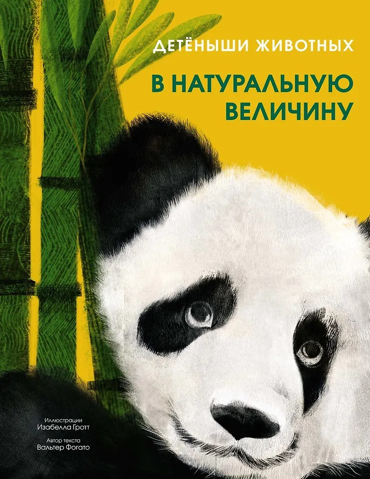 Изображение товара 1
