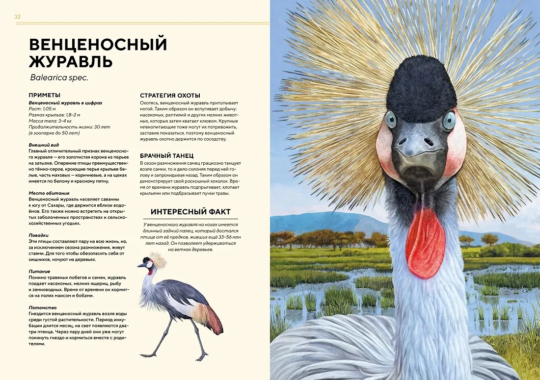 Изображение товара 7
