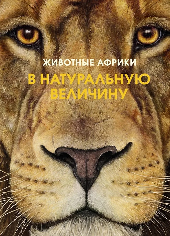 Изображение товара 1