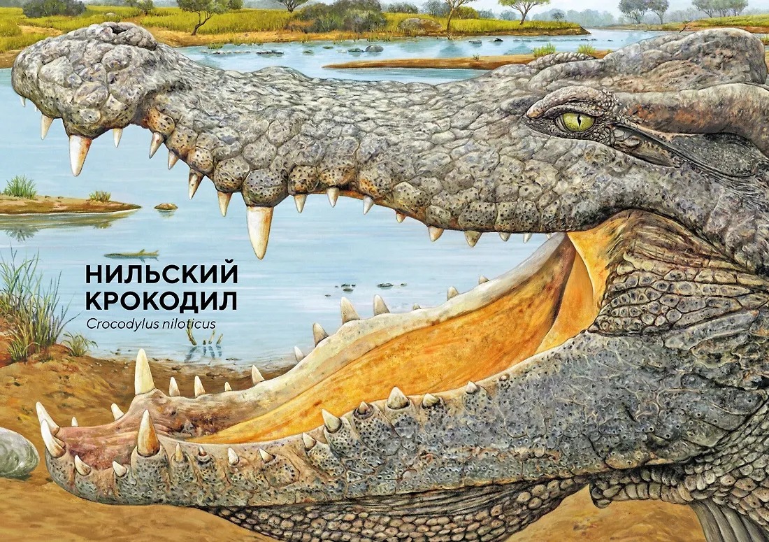Изображение товара 4