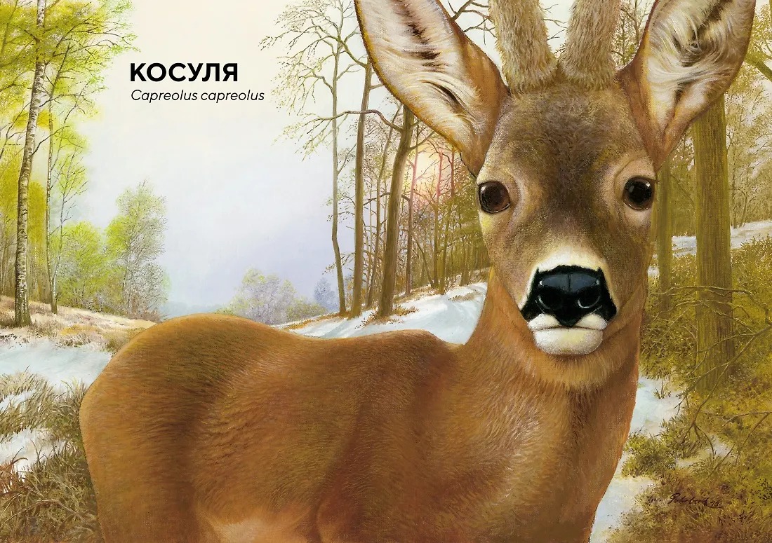 Изображение товара 3
