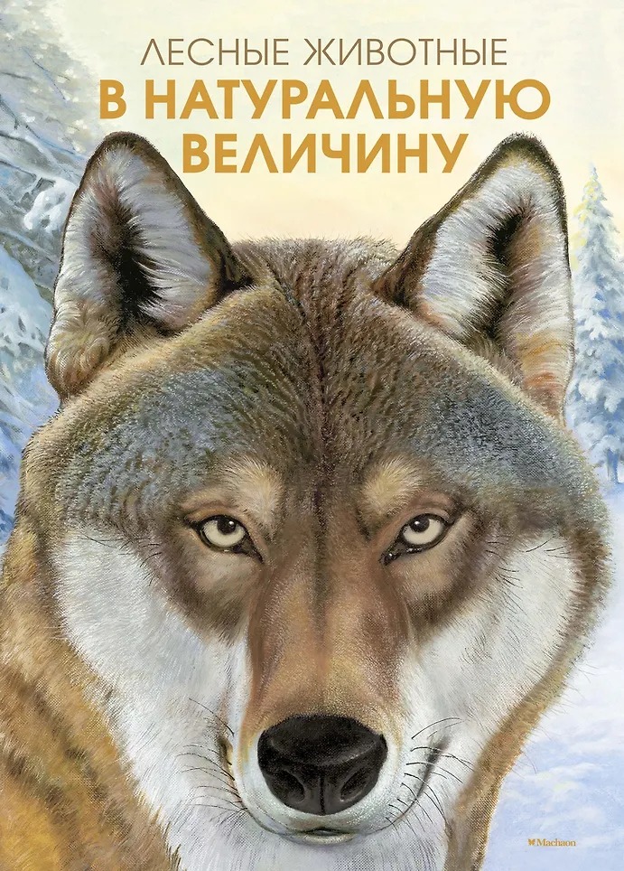 Изображение товара 1