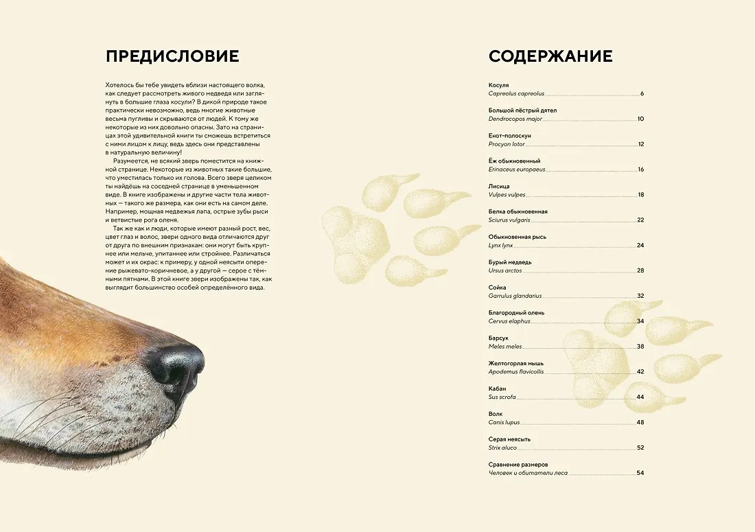 Изображение товара 2