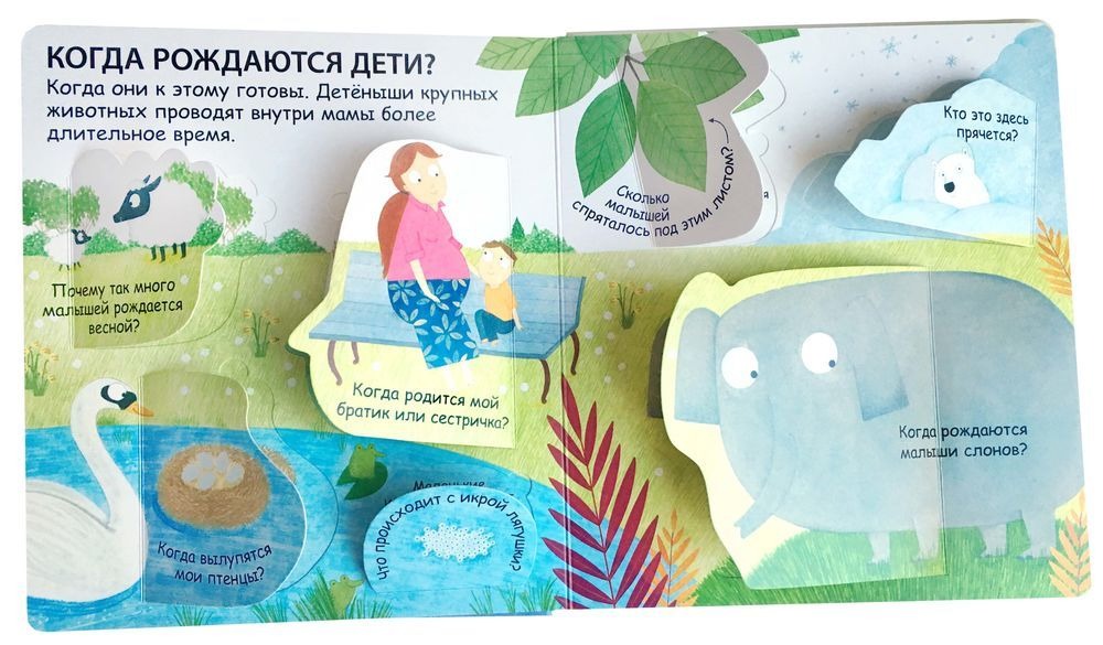 Волшебные окошки. От куда берутся дети? Издательство Робинс вид 2