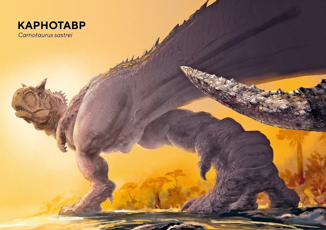 Изображение товара 8