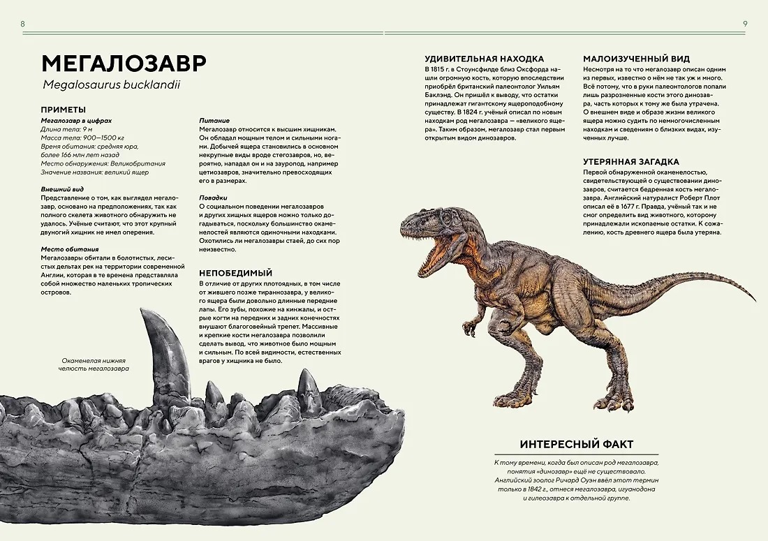 Изображение товара 3