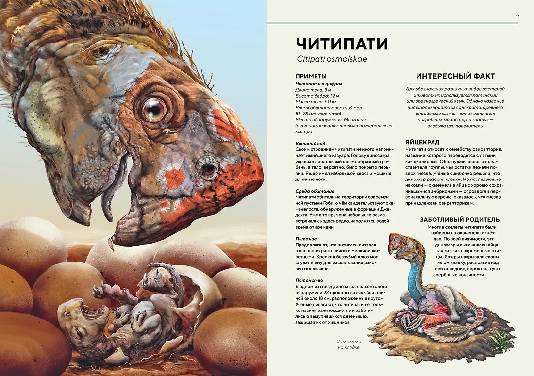 Изображение товара 4