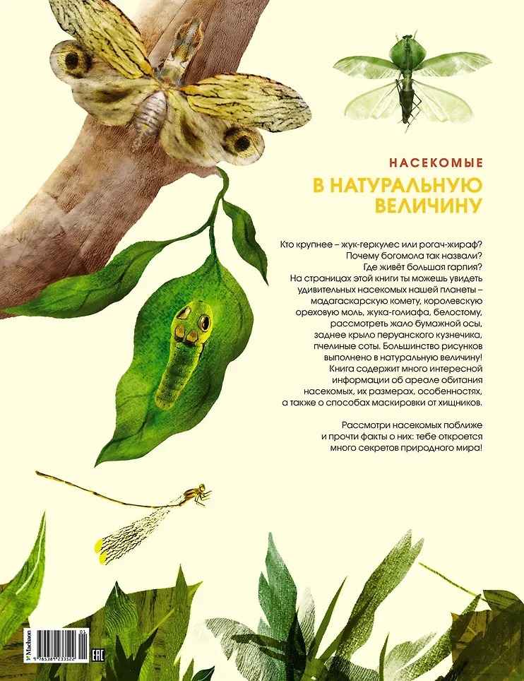 Изображение товара 9