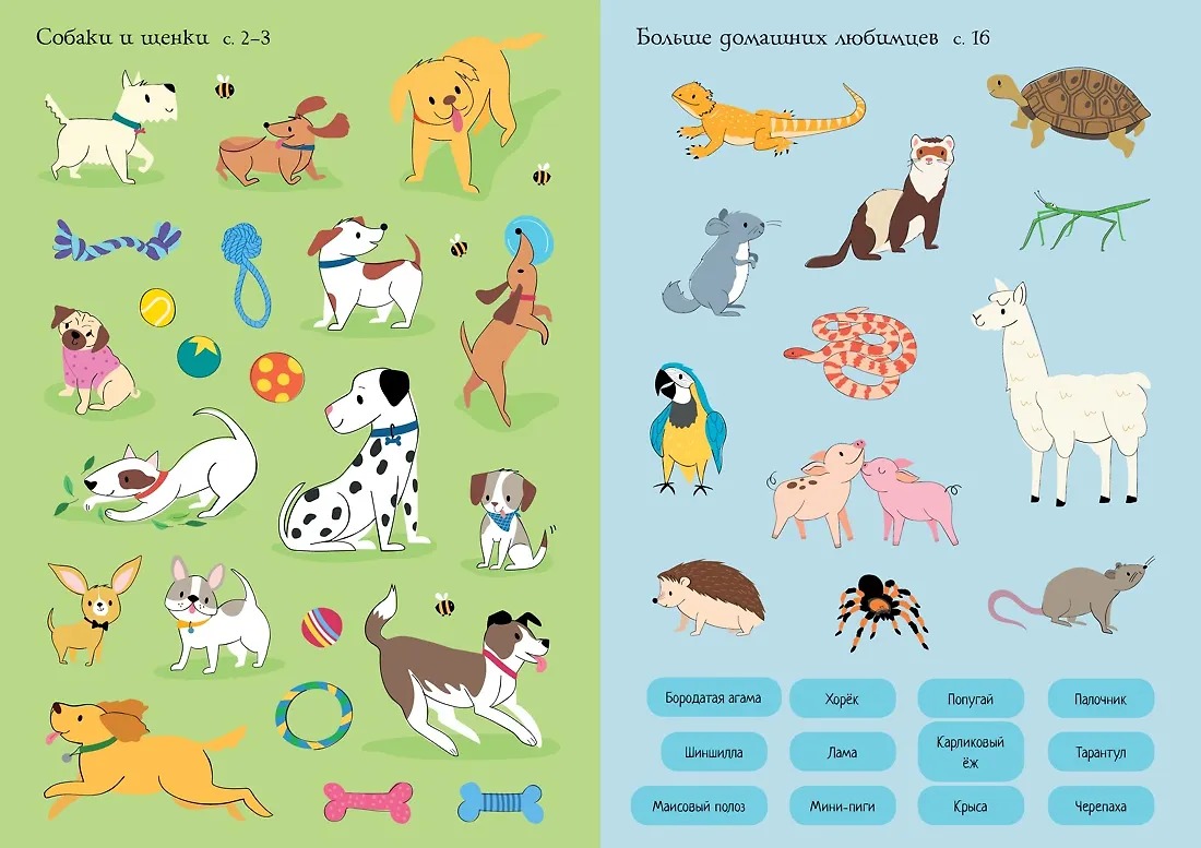 Изображение товара 5