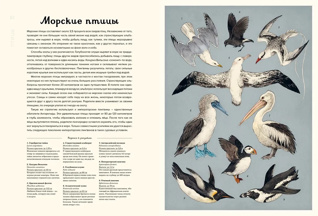 Изображение товара 4