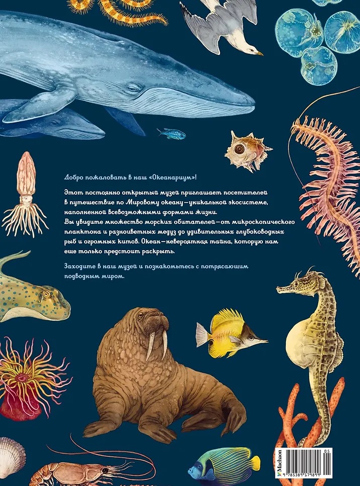 Изображение товара 12