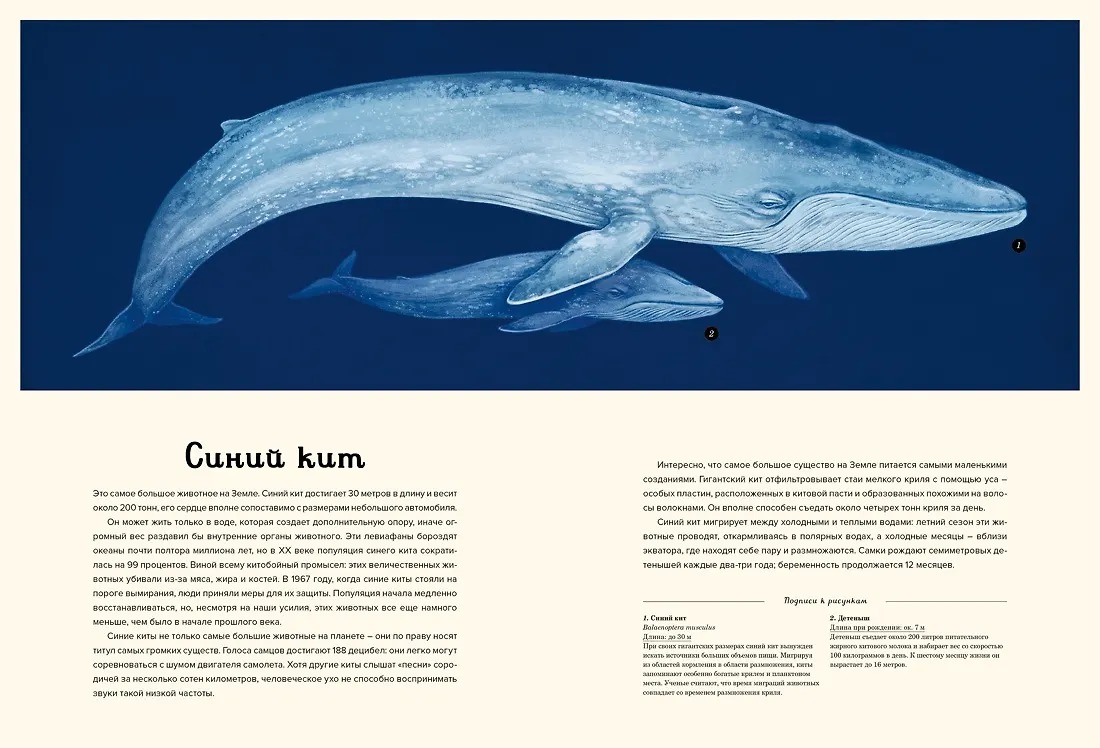 Изображение товара 6