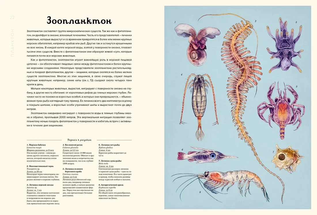 Изображение товара 9