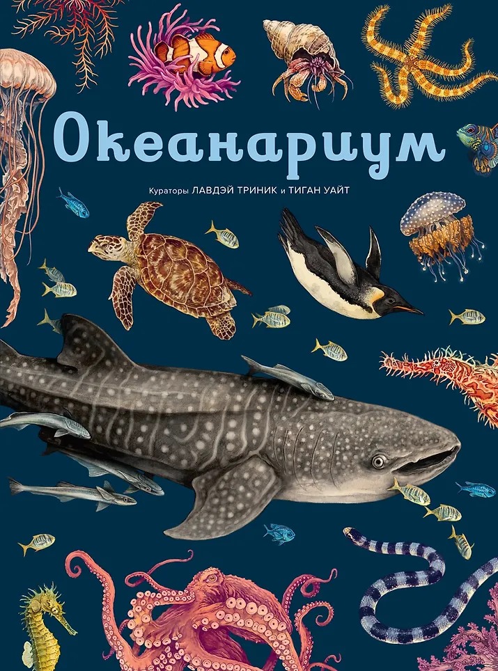 Изображение товара 1