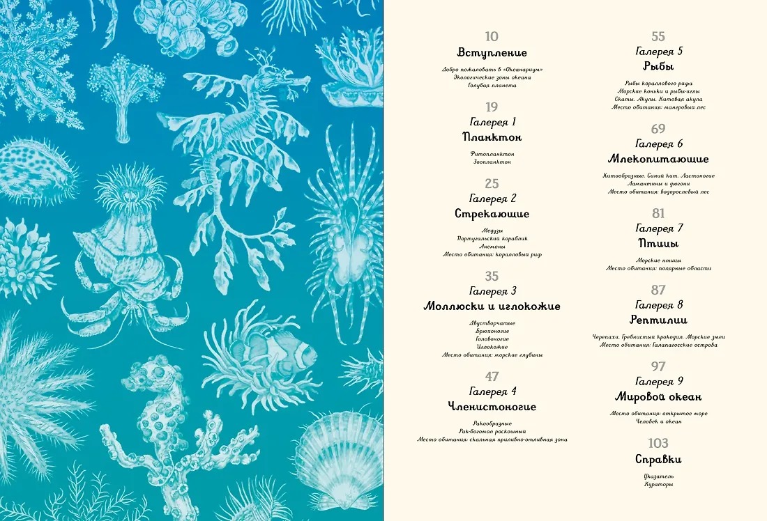 Изображение товара 2