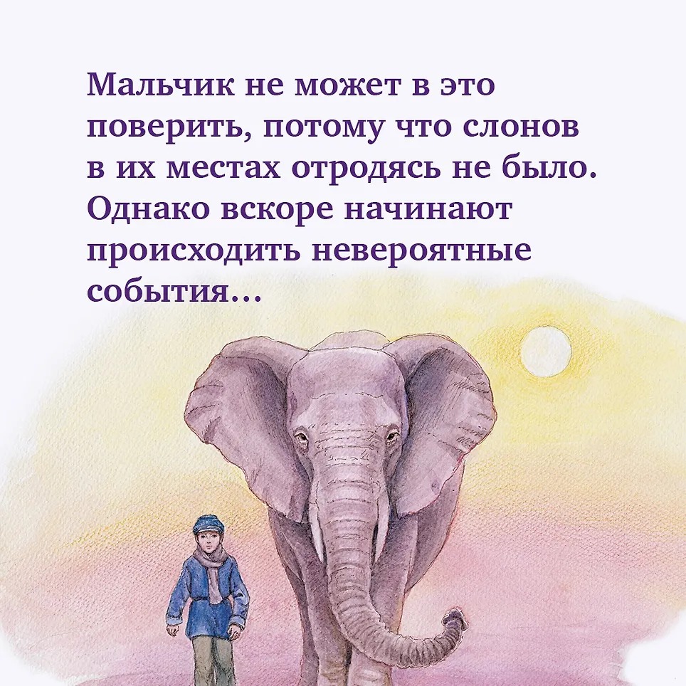 Изображение товара 5