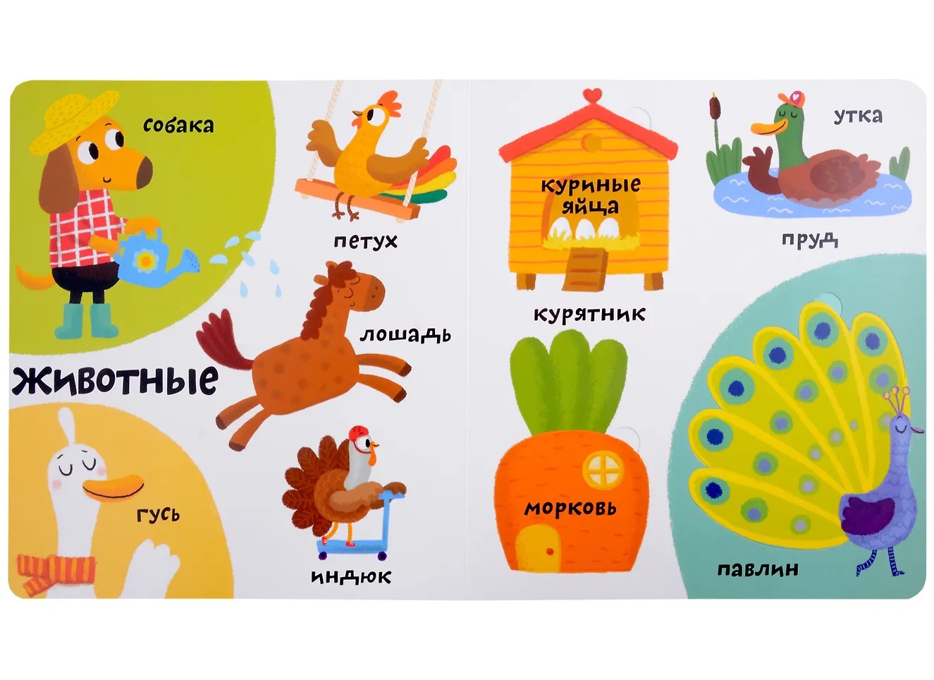 Изображение товара 5