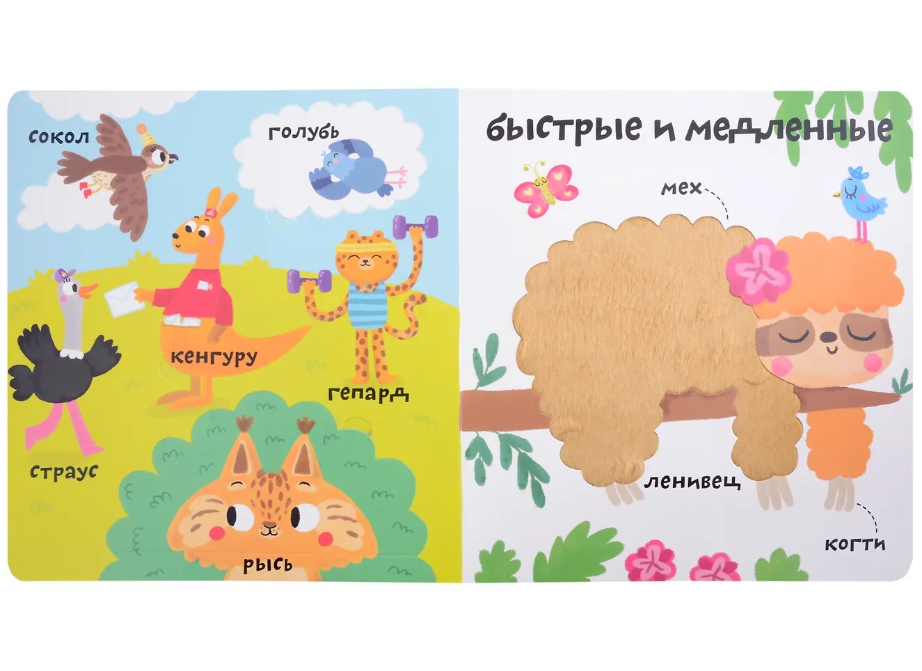 Изображение товара 5