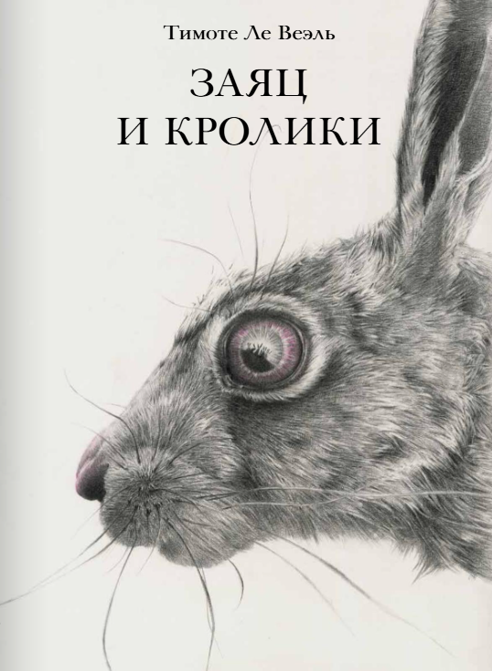 Заяц и кролики. Тимоте Ле Веэль Издательство Поляндрия вид 1