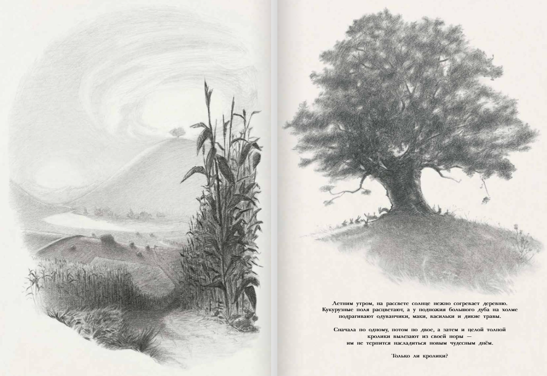 Изображение товара 3