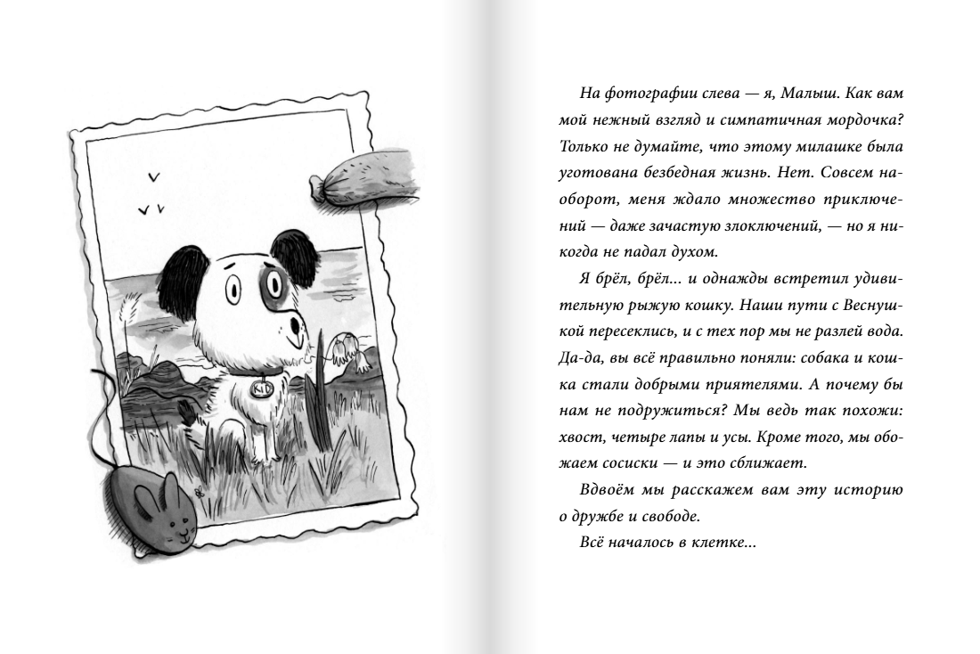 Изображение товара 3