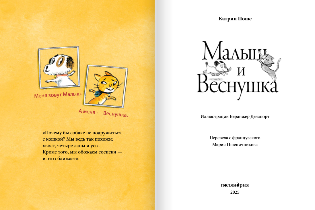 Малыш и веснушки. Катрин Поше Издательство Поляндрия вид 2