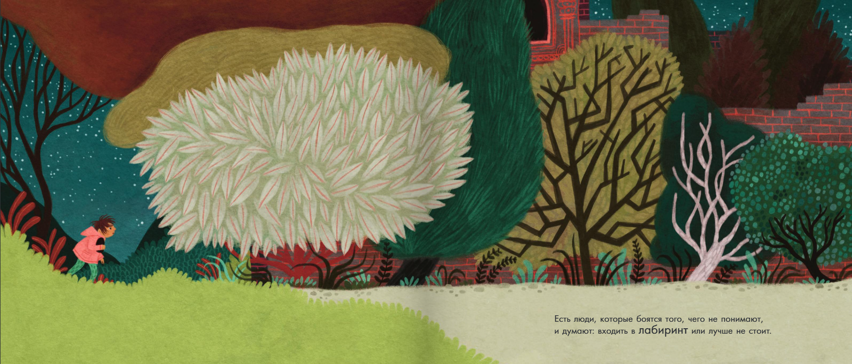 Изображение товара 5