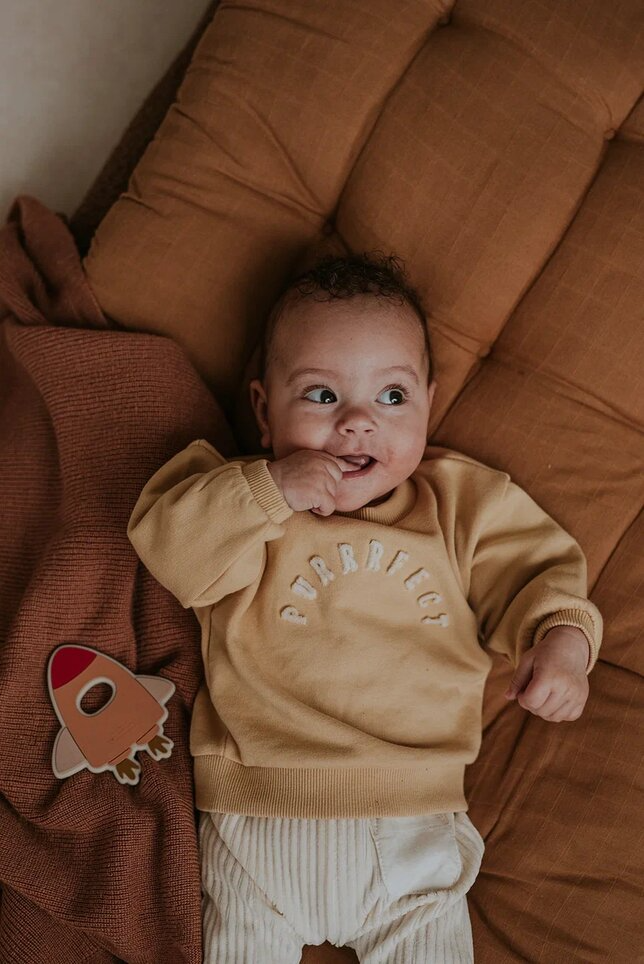 Толстовка Sproet & Sprout вид 2