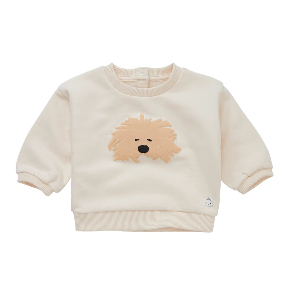 Толстовка Sproet & Sprout вид 1