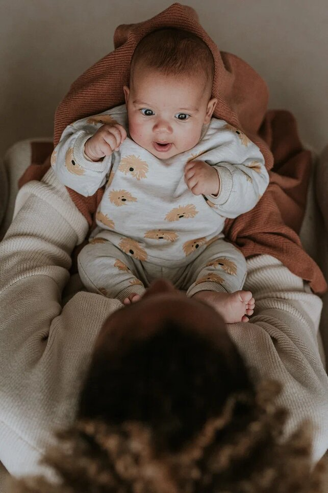 Толстовка Sproet & Sprout вид 2