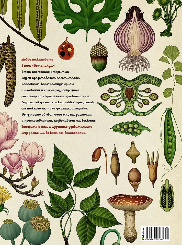 Изображение товара 9