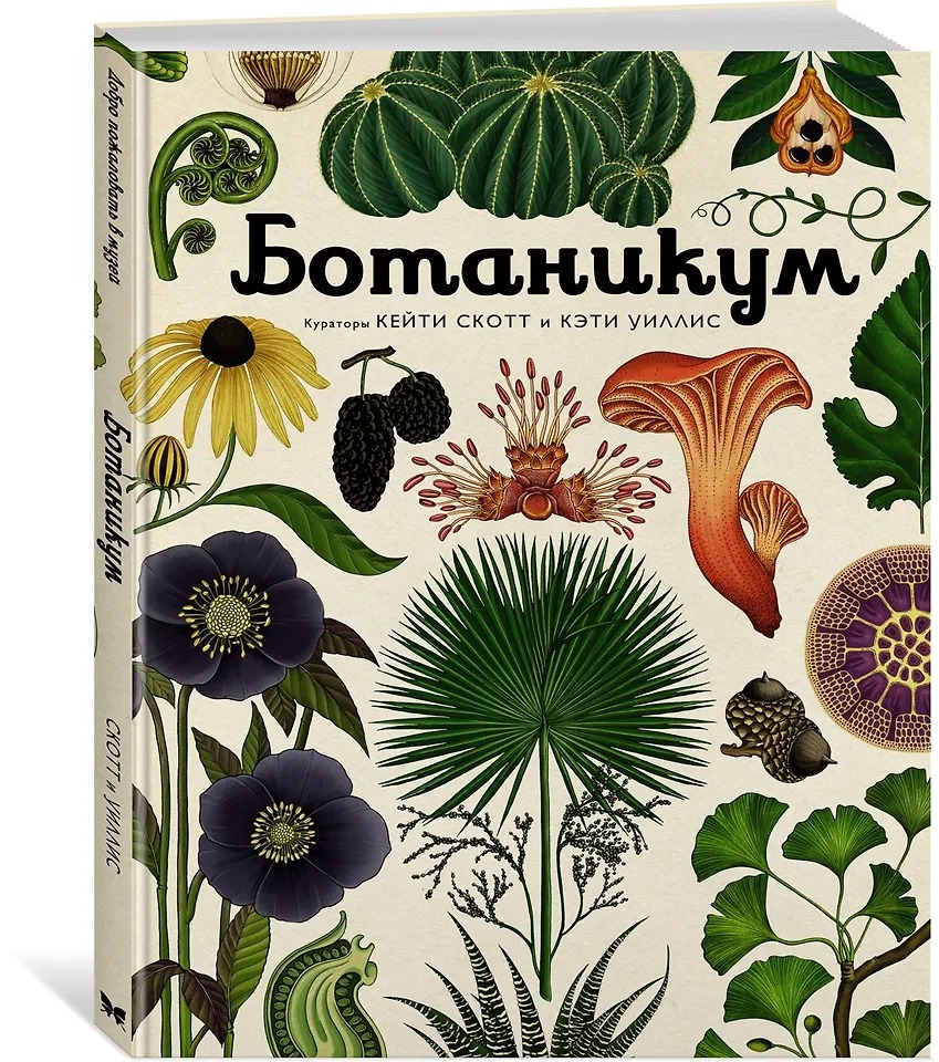 Ботаникум Издательство Махаон вид 2